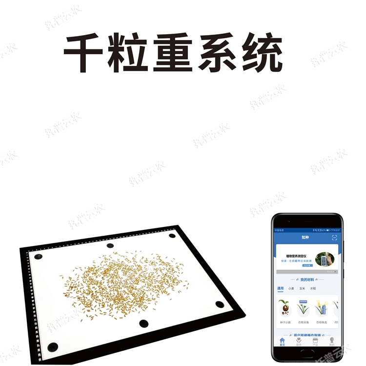 千粒重儀系統(tǒng)